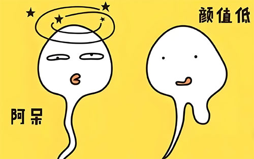 精量质量不太好会影响什么