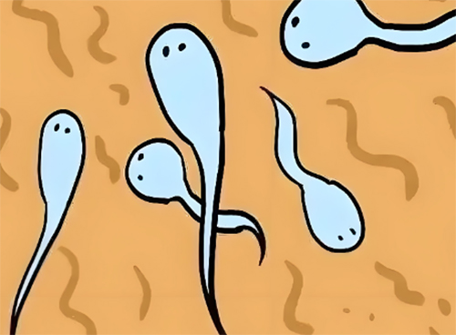 精液异味需要治疗吗