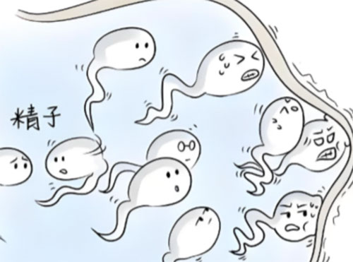 精畸形症能治好吗