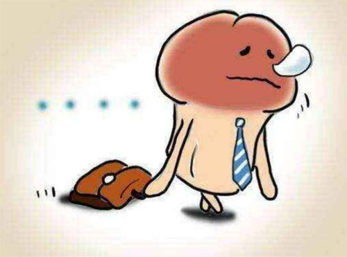 硬不起了怎么恢复