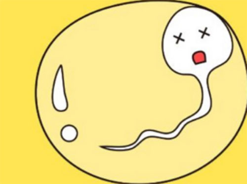 精液发黄是什么原因引起的