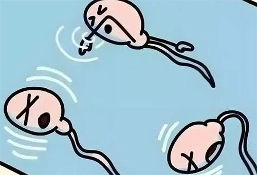 精不液化是怎么调理
