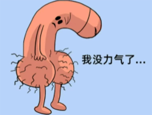 勃不起来是什么原因