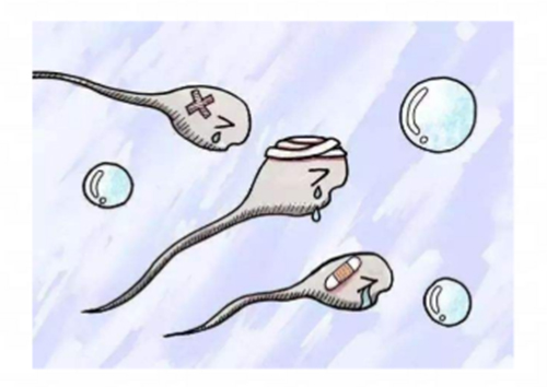 死精症治愈希望大吗