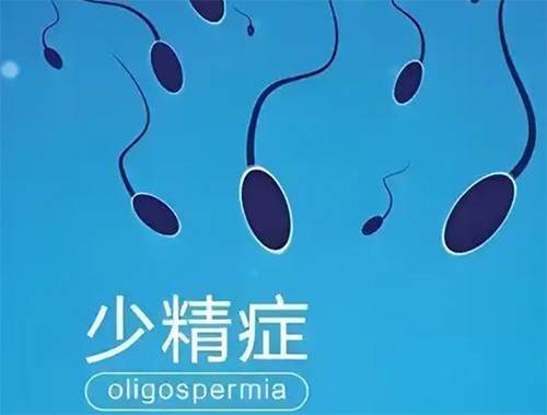 男人少精是什么原因
