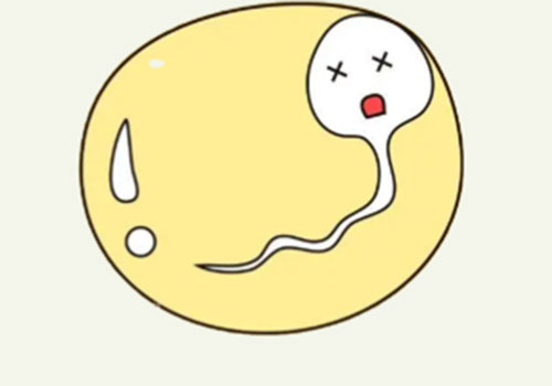 男人死精是什么意思