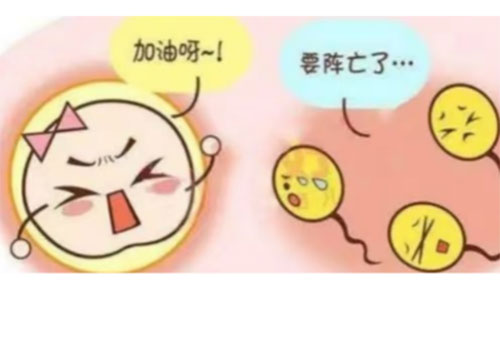 精液活力低怎么办
